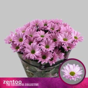 Rózsaszín Krizantém (Katinka) 70cm/85g - Image 1